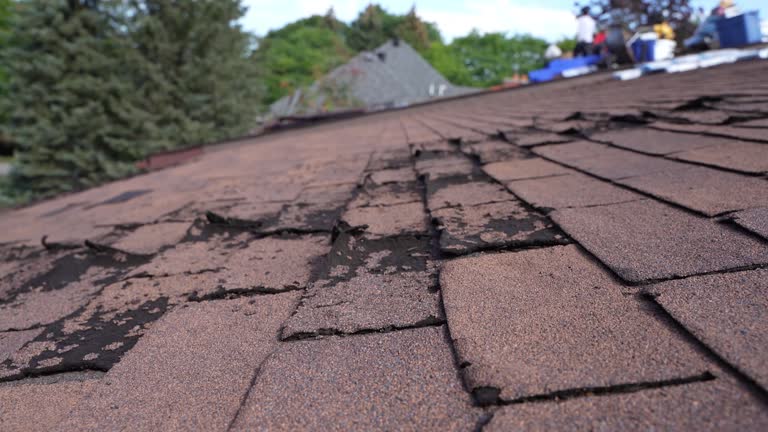 Best Rubber Roofing (EPDM, TPO)  in Mason, OH